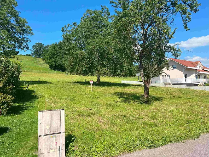Terrain à bâtir, 1 210 m² - Boussy (74150)