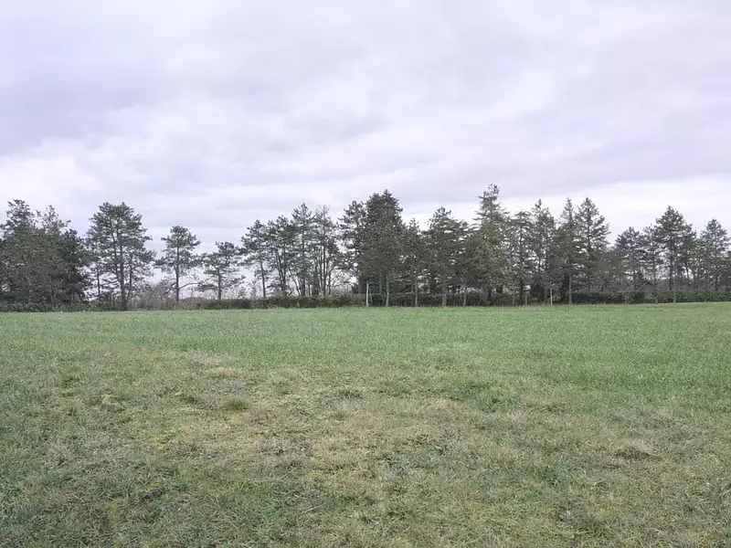 Terrain à bâtir, 1 502 m² - Ginestet (24130)