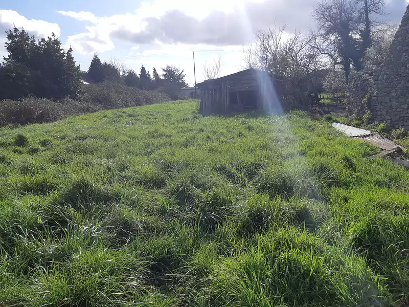 Terrain à bâtir, 600 m² - Sainte-Anne-sur-Brivet (44160)