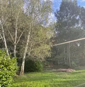 Terrain à bâtir, 1 000 m²