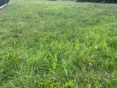 Terrain à bâtir, 1 860 m²