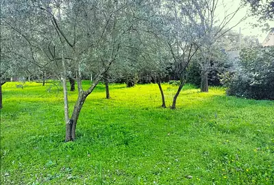 Maison neuve, 90 m²