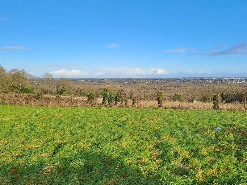 Terrain à bâtir, 554 m² - Champtoceaux (49270)