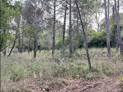 Terrain à bâtir, 2 200 m²