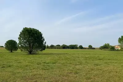 Terrain à bâtir, 331 m²