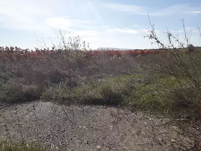 Terrain à bâtir, 543 m²