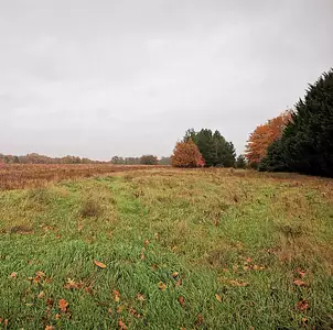 Maison neuve, 77 m²