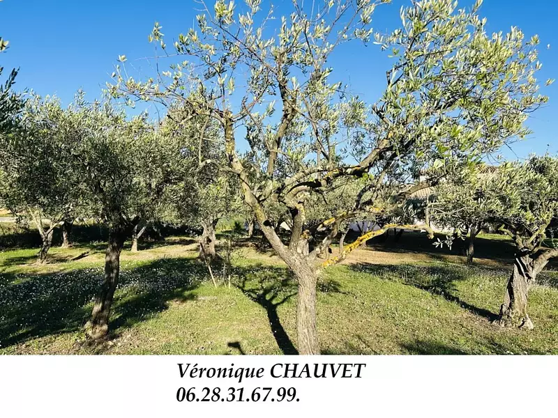 Terrain à bâtir, 1 200 m² - Lorgues (83510)