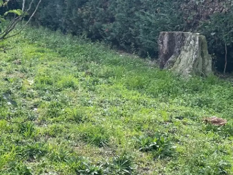 Terrain à bâtir, 450 m² - Blanquefort (33290)