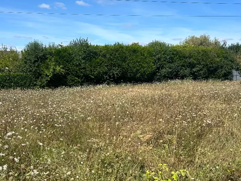 Terrain à bâtir, 995 m² - Tours (37000)