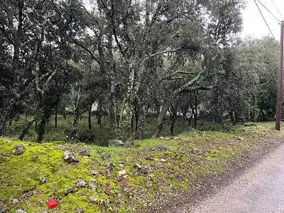 Terrain à bâtir, 1 807 m²