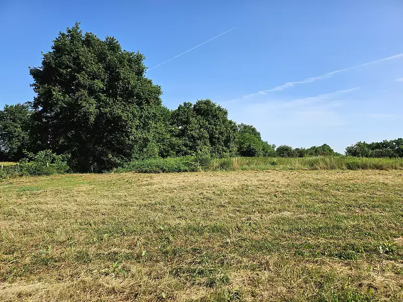 Maison neuve, 150 m² - Curtafond (01310)