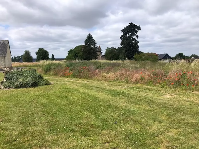 Terrain à bâtir, 1 000 m² - Saché (37190)