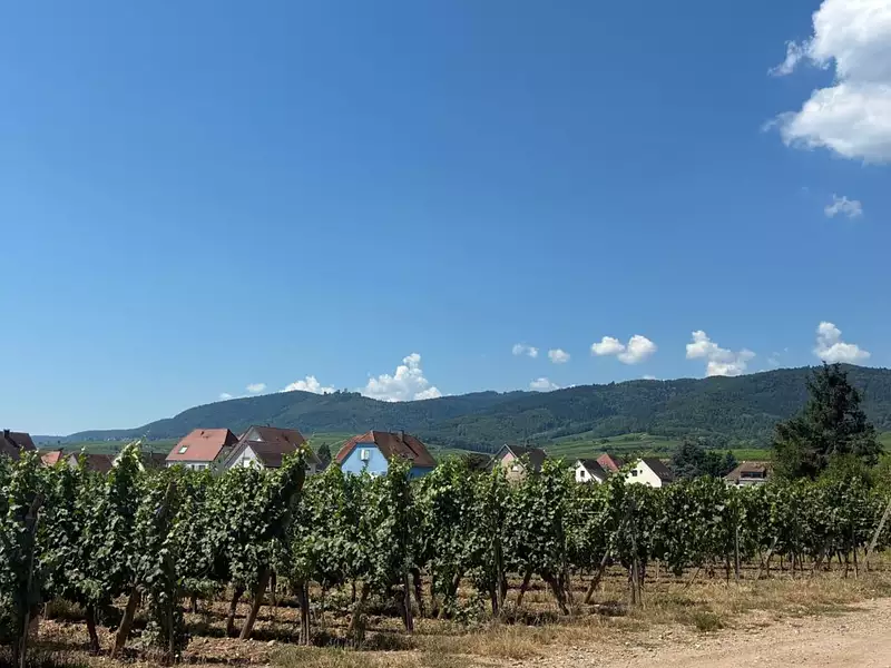 Prochainement à Wintzenheim - Wintzenheim (68920)