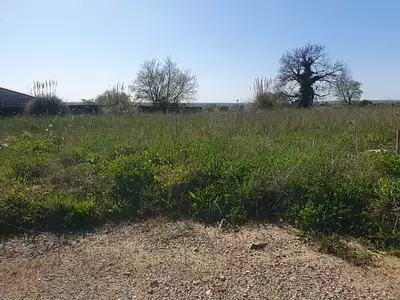 Maison neuve, 90 m²