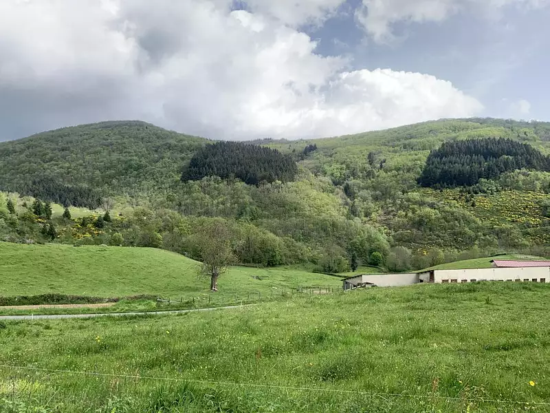 Maison neuve, 130 m² - Fleurie (69820)