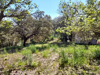 Terrain à bâtir, 1 840 m²