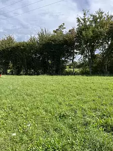 Maison neuve, 50 m²