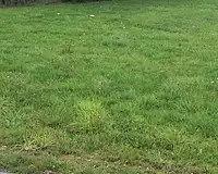 Terrain à bâtir, 225 m²