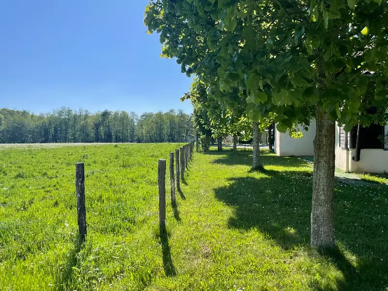 Terrain à bâtir, 500 m² - Dompierre-sur-Veyle (01240)