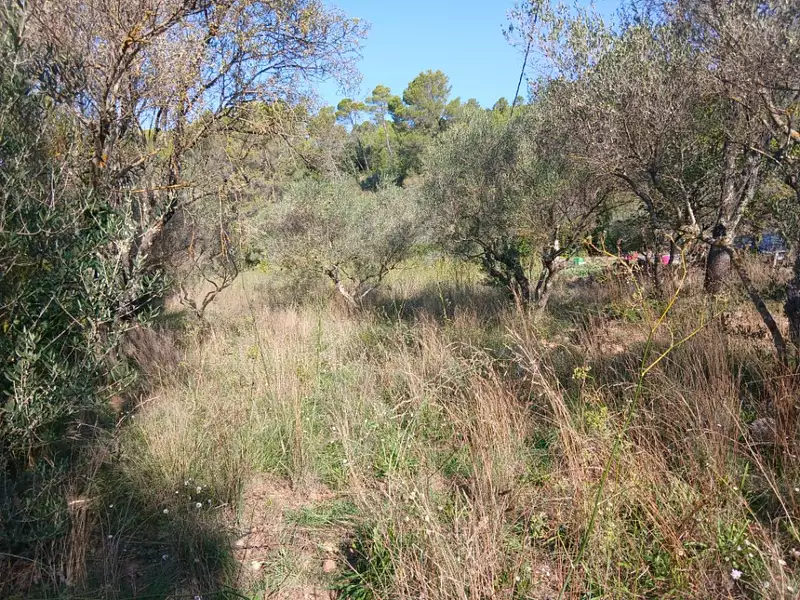 Terrain à bâtir, 1 113 m² - Carnoules (83660)
