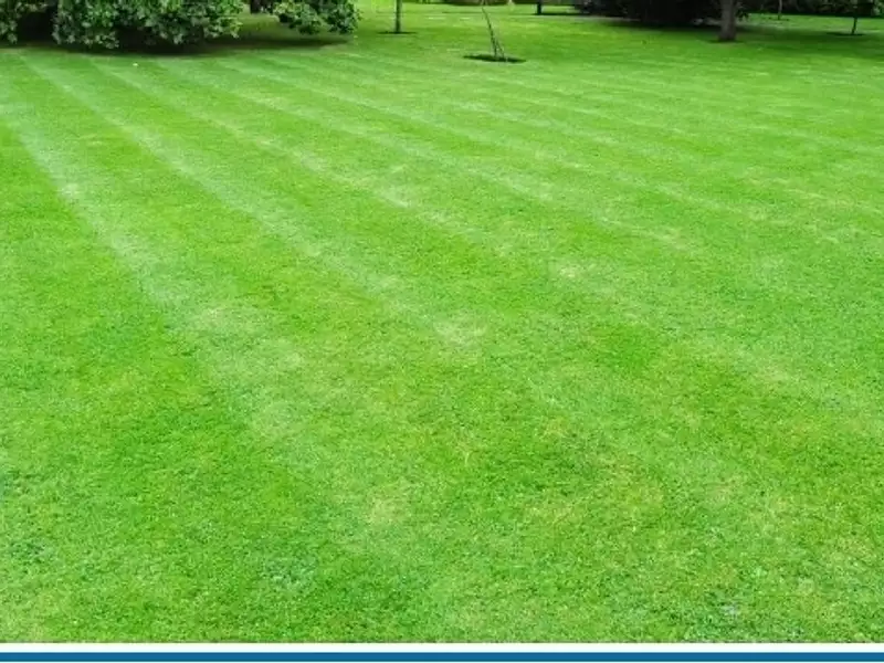 Terrain à bâtir, 336 m² - Bellevigny (85170)