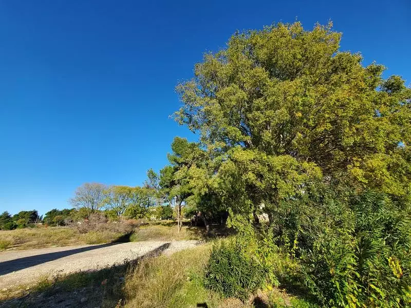 Terrain à bâtir, 160 m²