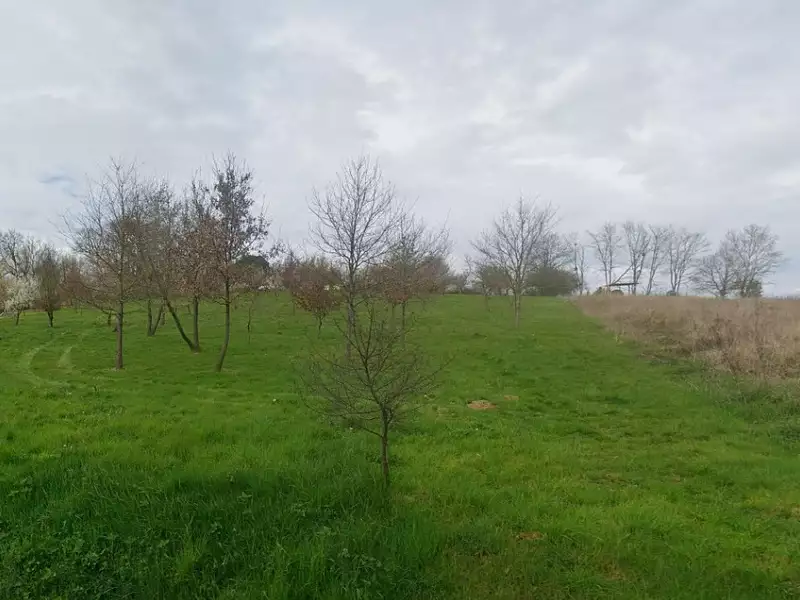Maison neuve, 50 m² - Rieumes (31370)