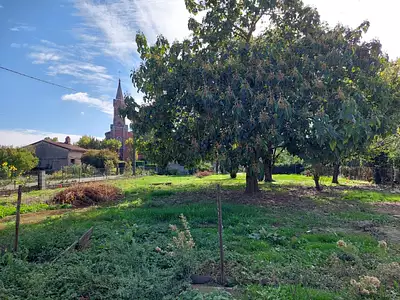 Maison neuve, 115 m²