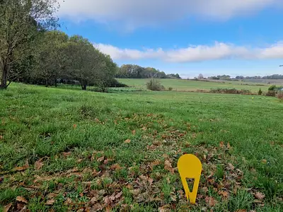 Maison neuve, 90 m²