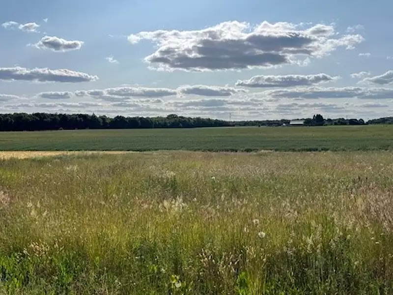 Terrain à bâtir, 1 268 m² - Rouziers-de-Touraine (37360)