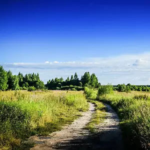 Terrain à bâtir, 700 m²