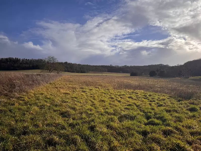 Terrain à bâtir, 1 499 m² - Champagne-et-Fontaine (24320)