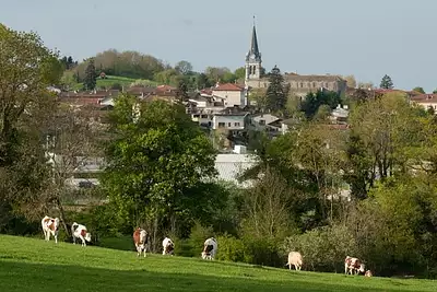 Maison neuve, 71 m²