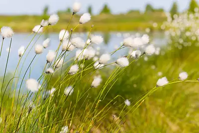 Maison neuve, 100 m²