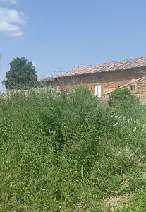 Maison neuve, 90 m²