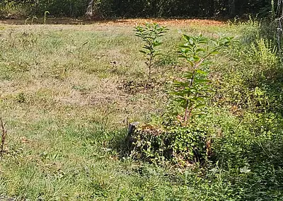 Terrain à bâtir, 450 m²