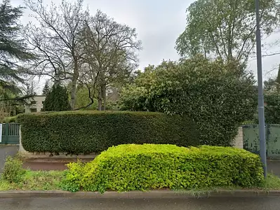 Maison neuve, 75 m²