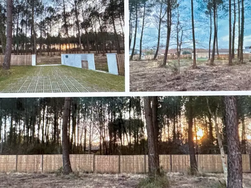 Terrain à bâtir, 950 m² - Seignosse (40510)