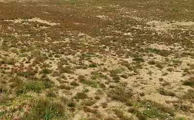 Terrain à bâtir, 350 m²