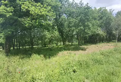 Terrain à bâtir, 510 m²