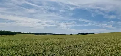 Maison neuve, 101 m²