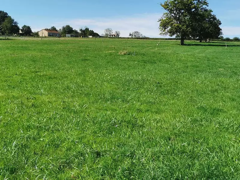 Maison neuve, 91 m² - Meillard (03500)