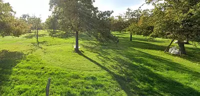 Terrain à bâtir, 1 200 m²