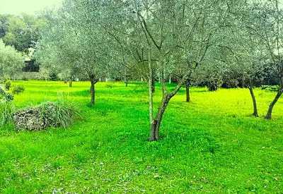 Maison neuve, 90 m²