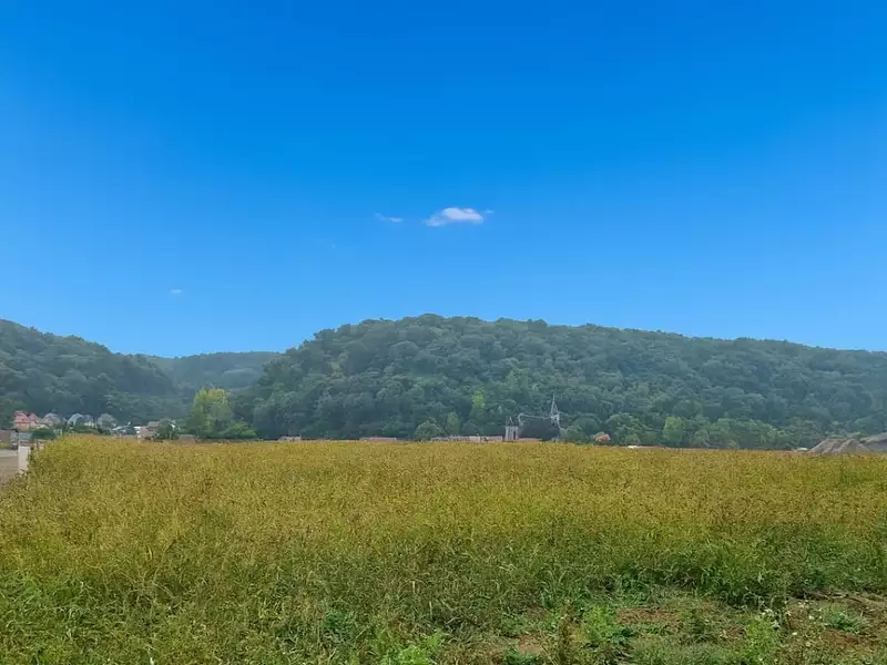 Terrain à bâtir, 300 m² - Herserange (54440)