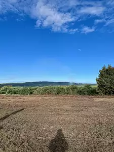 Terrain à bâtir, 334 m²