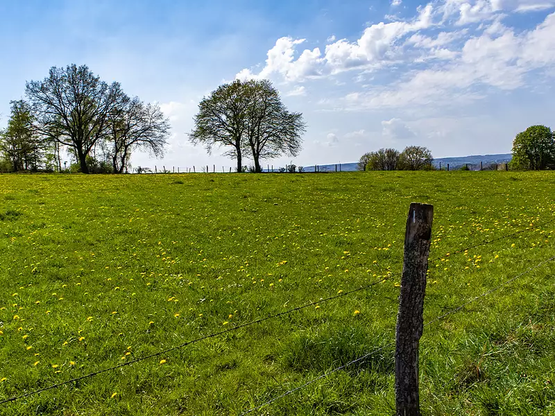 Maison neuve, 79 m² - Saint-Clair (86330)