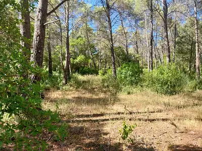 Maison neuve, 77 m²