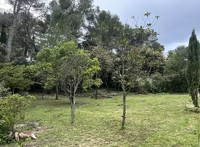 Maison neuve, 150 m²